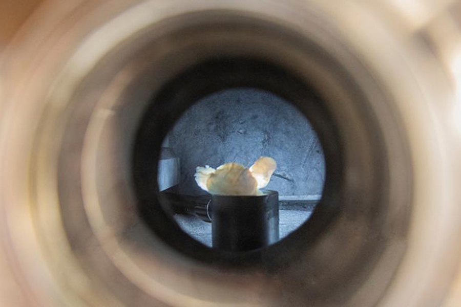 Boron nitride nanotube material in a crucible for heating at Florida State University's High-Performance Materials Institute.