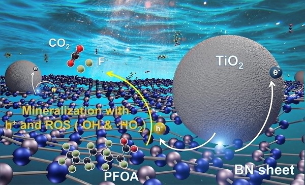 Illustration showing how a composite material containing sheets of boron nitride and nanoparticles of titanium dioxide uses long-wave ultraviolet energy in sunlight to photocatalyse the breakdown of PFOA into carbon dioxide, fluorine and minerals.