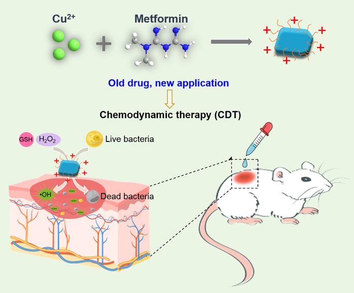 Metformin capped Cu2(OH)3Cl nanosheets are fabricated for chemodynamic antibacterial and would healing applications