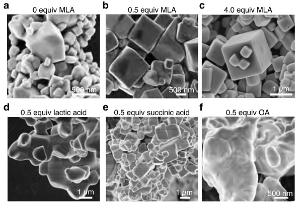 The first challenge. Electron microscope images of experimental samples using different chemical combinations.