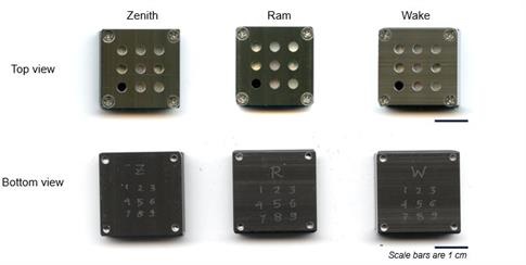 Front and back of each of the tree, one-inch square plates.