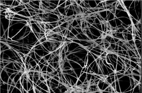 A tangle of unprocessed boron nitride nanotubes seen through a scanning electron microscope