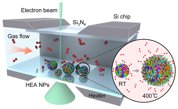 Schematic of the setup used to study the oxidation of high-entropy alloy nanoparticles (HEA NP)