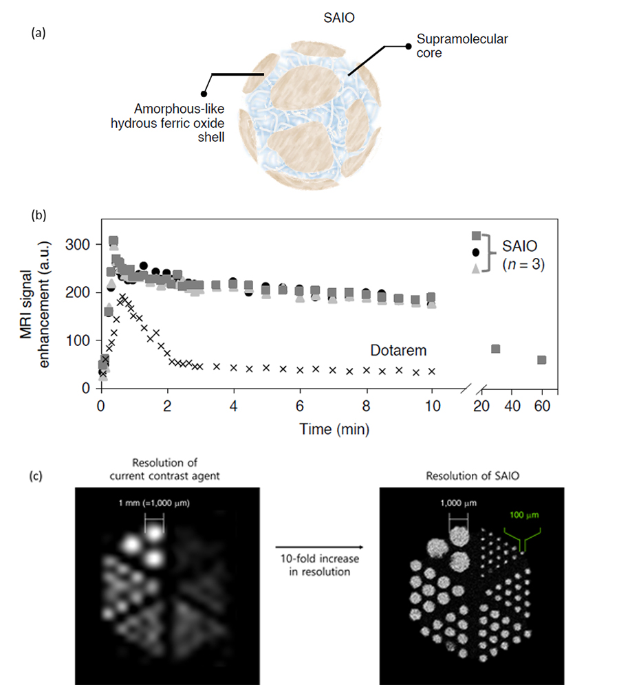 SAIO contrast agent