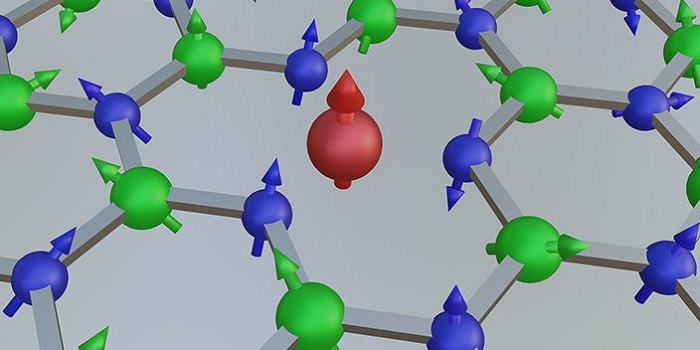 2D array of electron and nuclear spin qubits