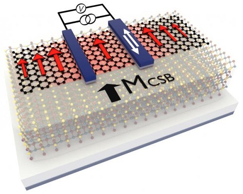 Simplified schematic picture of the studied device, showing electrical and thermal generation of spin currents in a bilayer graphene/CrSBr heterostructure