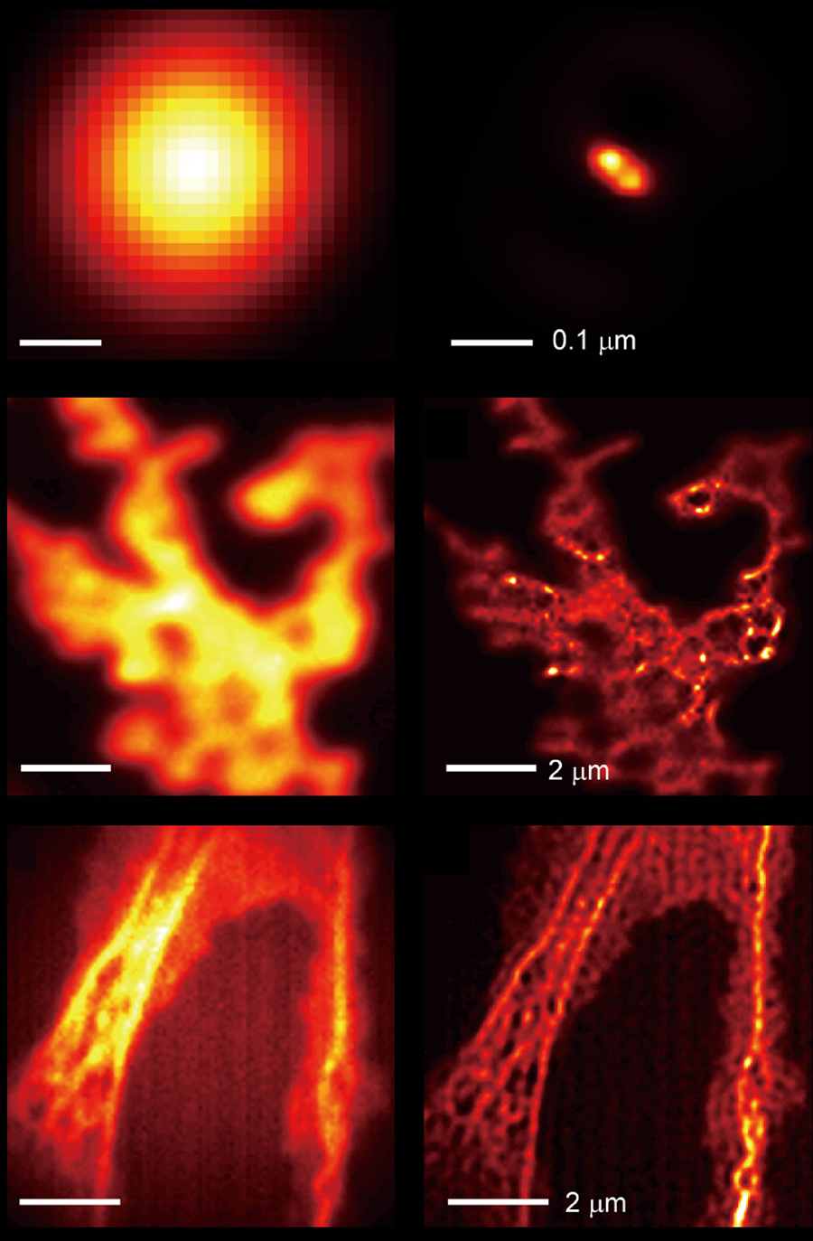 Comparison of images taken by a light microscope without the hyperbolic metamaterial (left column) and with the hyperbolic metamaterial (right column)