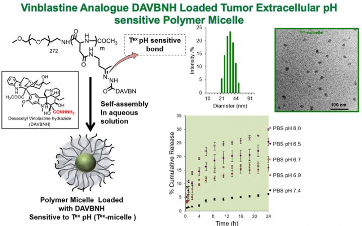 Vinblastine Analogue DAVBNH Loaded Tumor Extracellular pH sensitive Polymer Micelle