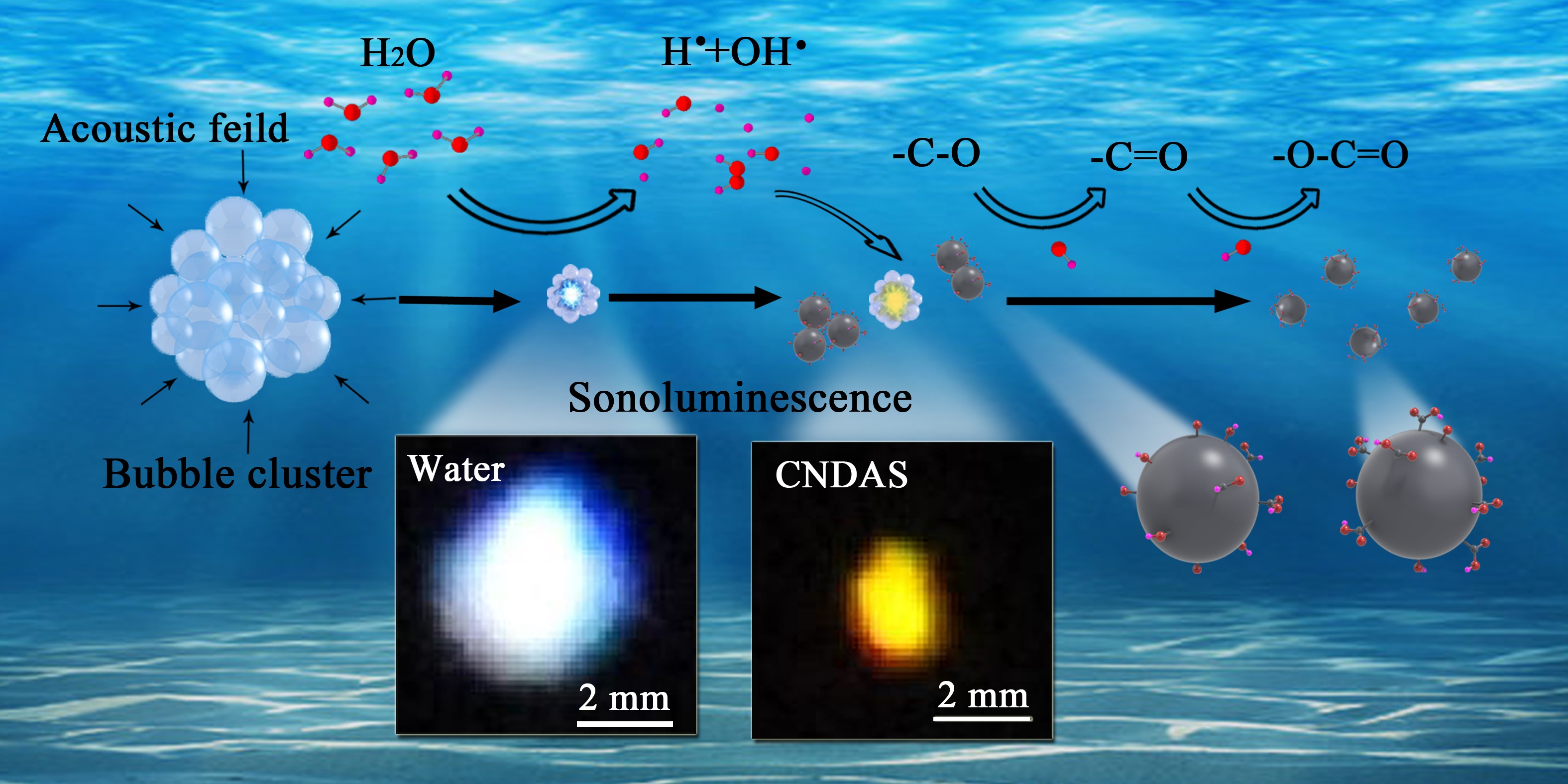 A schematic diagram of chain-like oxidation process to CNDs under the effect of hydroxyl radical generated by sonoluminescence