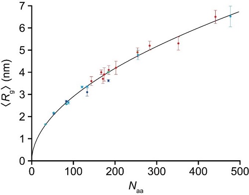 Power law for relationship between radius gyration <Rg> and number of amino acids for 23 fully disordered regions