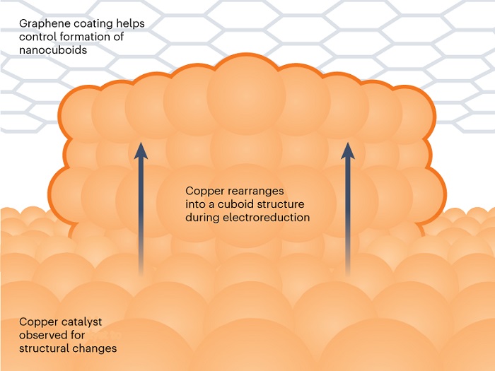 Cuboid catalyst 1