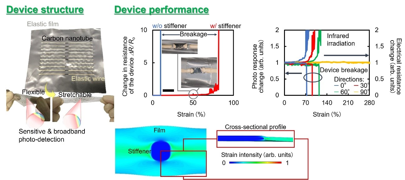 Overview and basic performance of the sensor sheet fabricated during this study