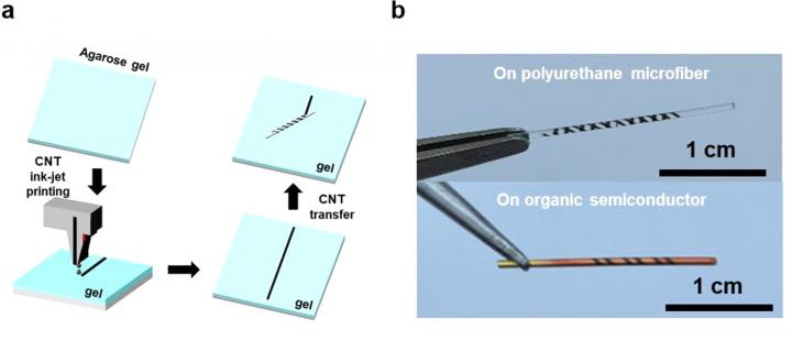 Schematic of the rolling-transfer process of printed CNT microelectrodes