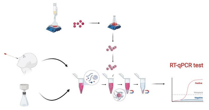 The safe, rapid and low-cost SARS-CoV-2 testing protocol uses magnetic nanoparticles to isolate the viral nucleic acids, avoiding the need for centrifuging or expensive reagents
