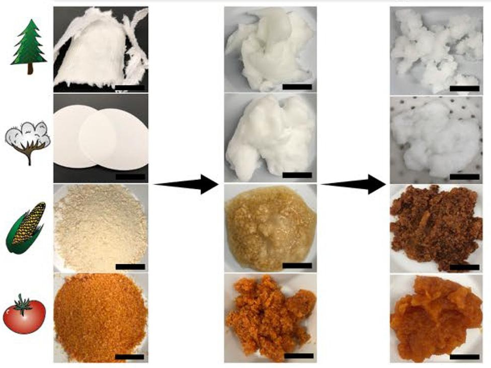 After soaking the materials in water, Penn State researchers chemically reacted shredded wood pulp, cotton paper and ground corncob and tomato peels to convert them into microproducts, nanoparticles and solubilized biopolymers