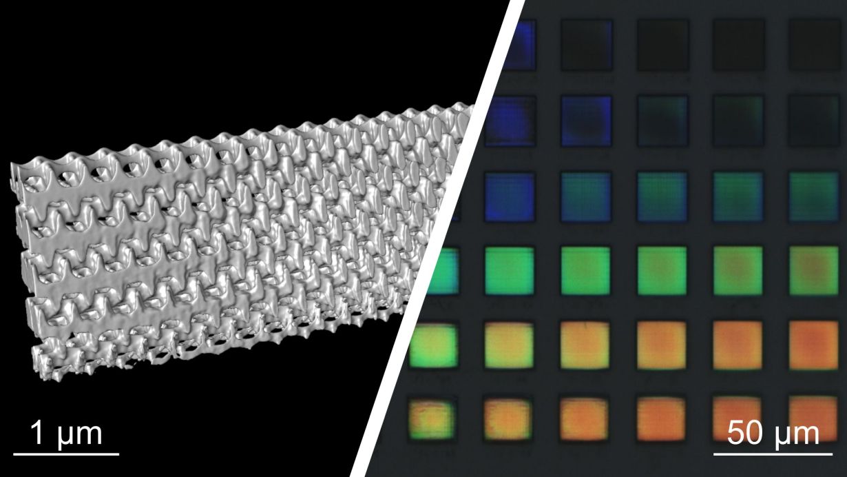Electron microscopic reconstruction of a 3D nanostructure printed with the 2-step absorption process (left) and light microscopy (right)