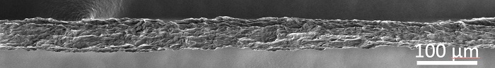 A robust fiber of boron nitride nanotubes as seen under a scanning electron microscope