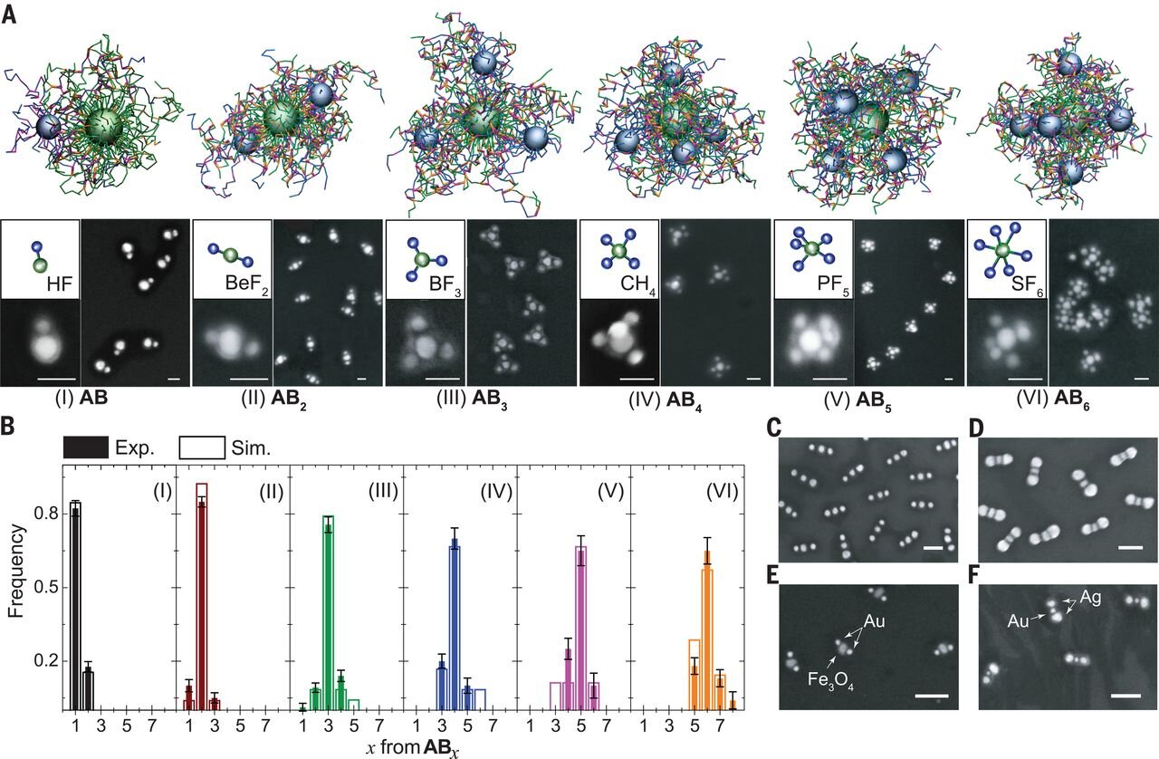 Experimental and simulation study of the CM formation