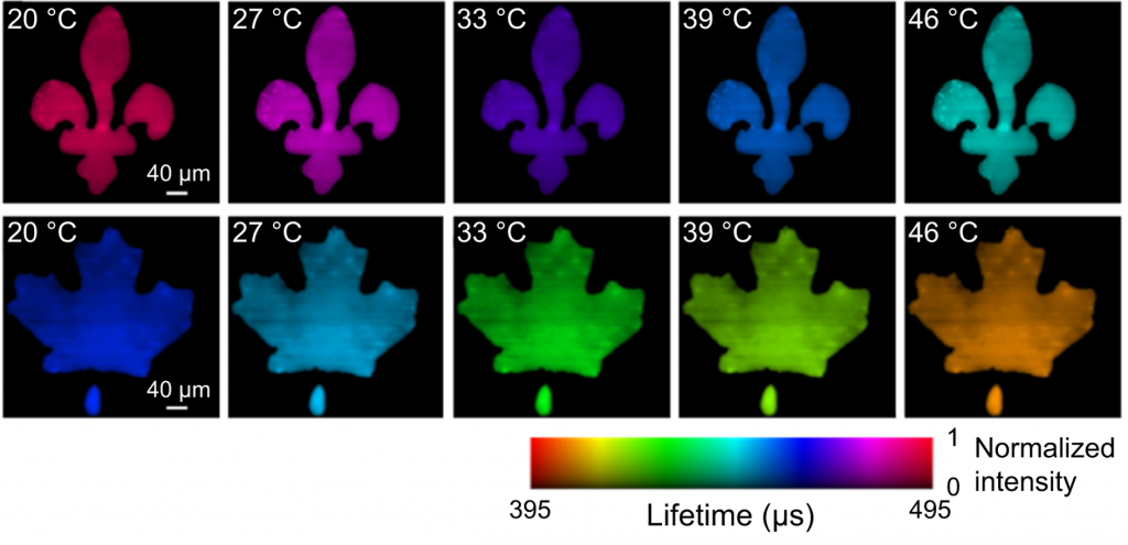 Lifetime images of green (top row) and red (bottom row) upconversion emission bands under different temperatures captured by SPLIT.