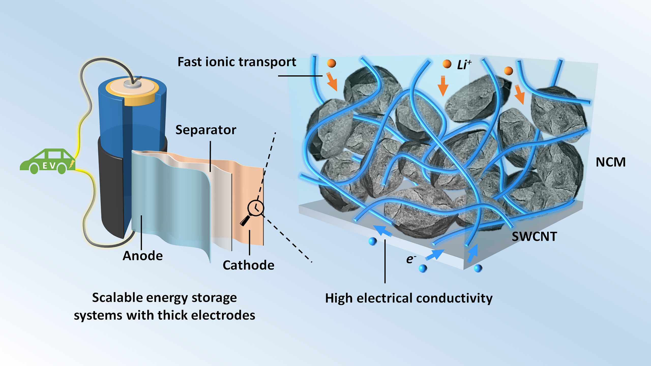 Thick electrodes with single-walled carbon nanotubes