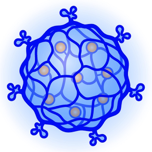 A DNA-based nanogel