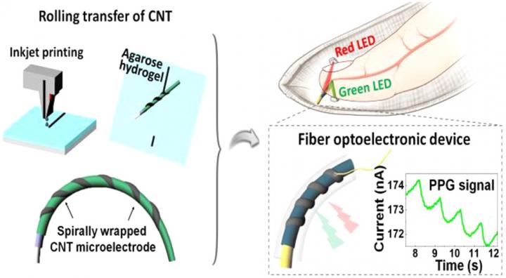 Electrodes are transcribed by printing electrodes on hydrogels and rolling fibers over electrodes