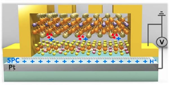 The device: a solid-proton field-effect transistor (SP-FET) mounts the AFM-FM heterostructure within electric contact (gold), mounted on a solid protonic conductor (SPC) and gate electrode (Pt)