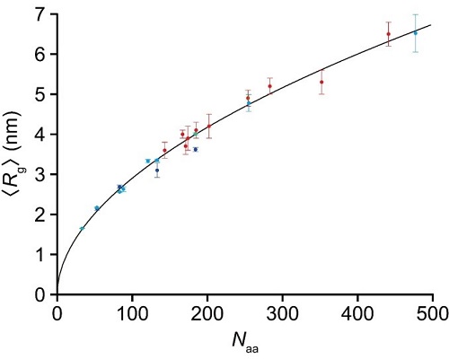 Power law for relationship between radius gyration <Rg> and number of amino acids