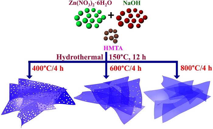 Schematic illustration depicting synthesis process for 2D holey/unholey ZnO NS