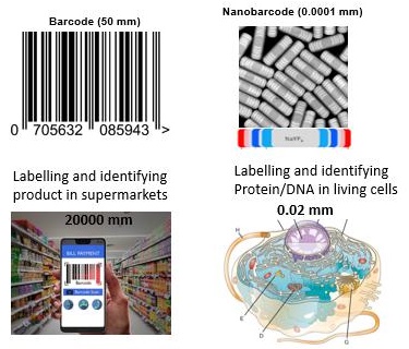 Imagine shrinking those barcodes a million times, from millimetre to nanometre scale