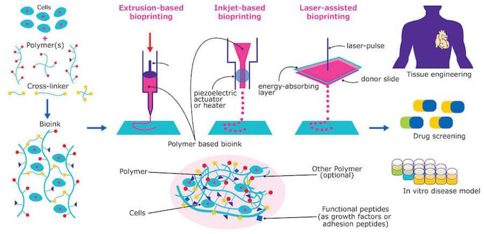 3d-bioprinting-tissue-organs
