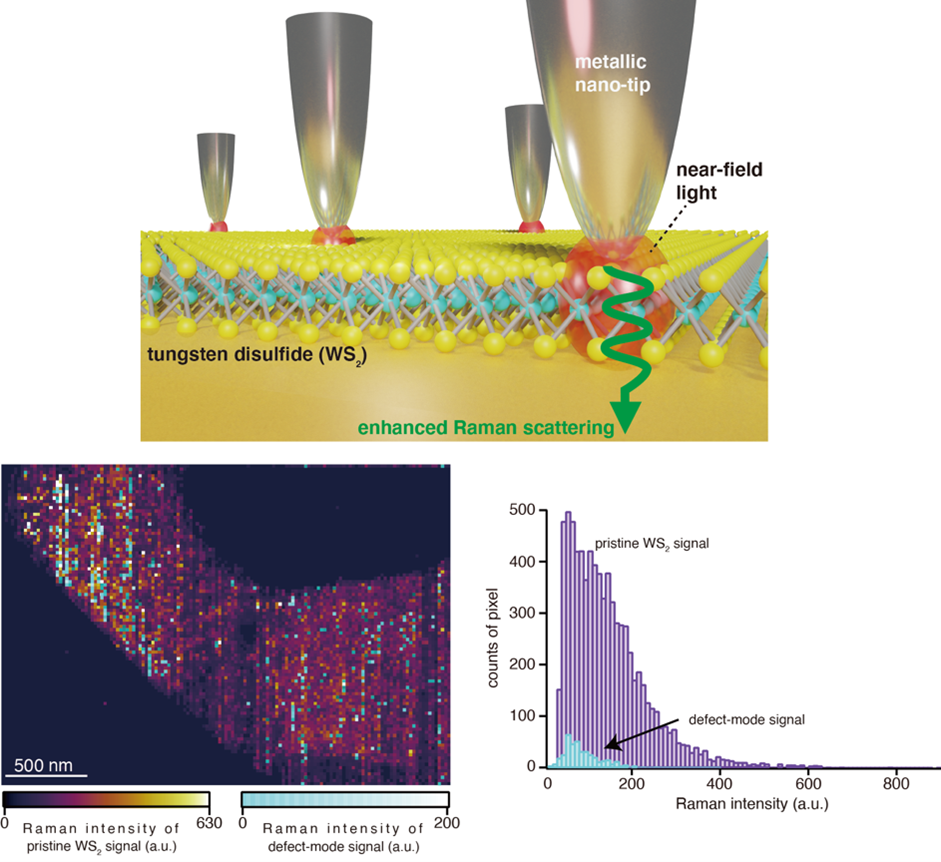 Long-duration tip-enhanced Raman imaging for defect analysis of large-sized WS2 layers