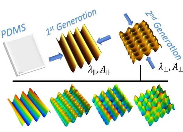 Waves are created at right-angles to produce spikes