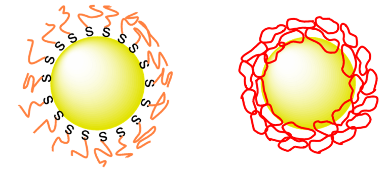 A comparison of how linear PEG (left) and cyclic PEG (right) attach to a gold nanoparticle