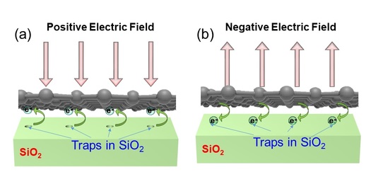 chematic diagram showing the mechanism of electric field sensing in the graphene sensors for (a) positive and (b) negative electric fields