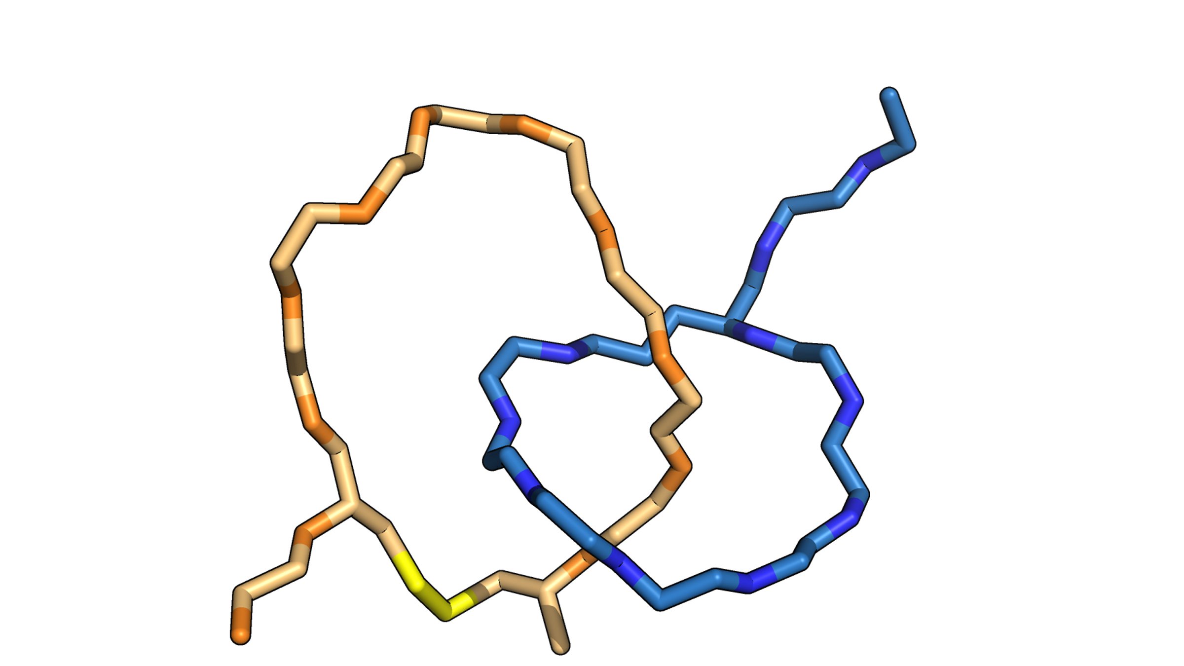 The naturally occurring peptides normally form a single lasso shape
