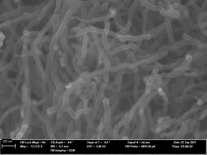 Carbon nanotubes are visible under incredibly powerful electron microscopes
