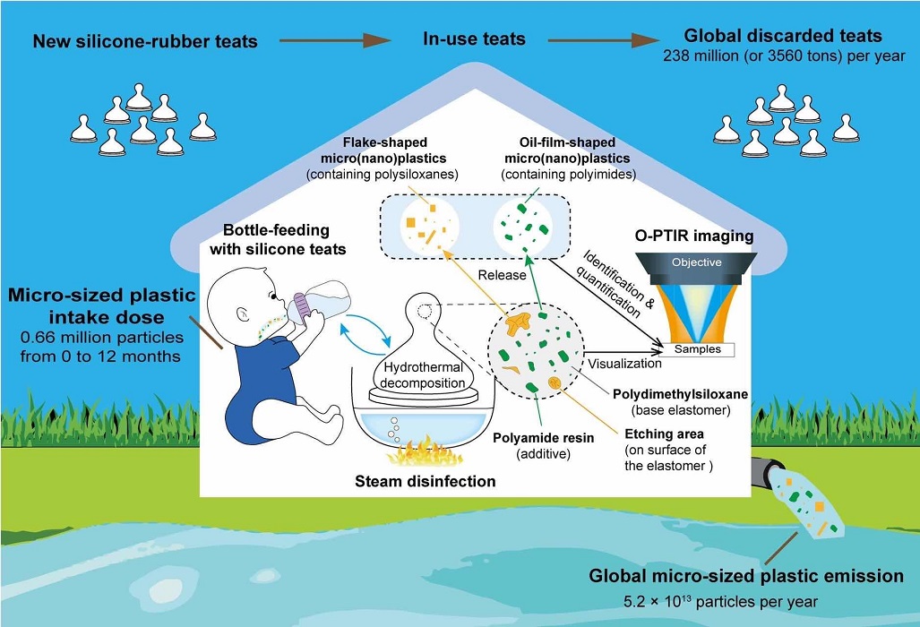 The research into the breakdown and pollution of silicone-rubber baby bottle nipples is highlighted in this illustration