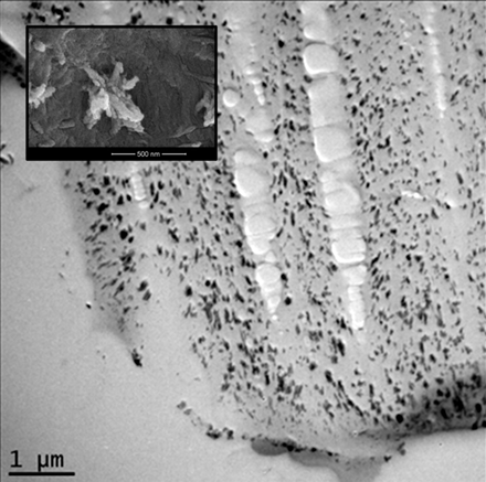 Using an analytical method developed at SRRC, a cross-section of the cotton fibers can be imaged using Transmission Electron Microscopy (TEM) to confirm the internally formed copper oxide nanoflowers