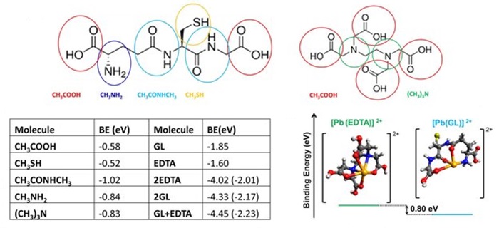 DFT-optimized structures of surface-adsorbed ligands. Structure of glutathione (left) and EDTA (right), with fragments that were used to study their interaction with the perovskite highlighted