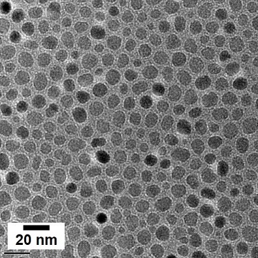 A group of prototype nanoparticle