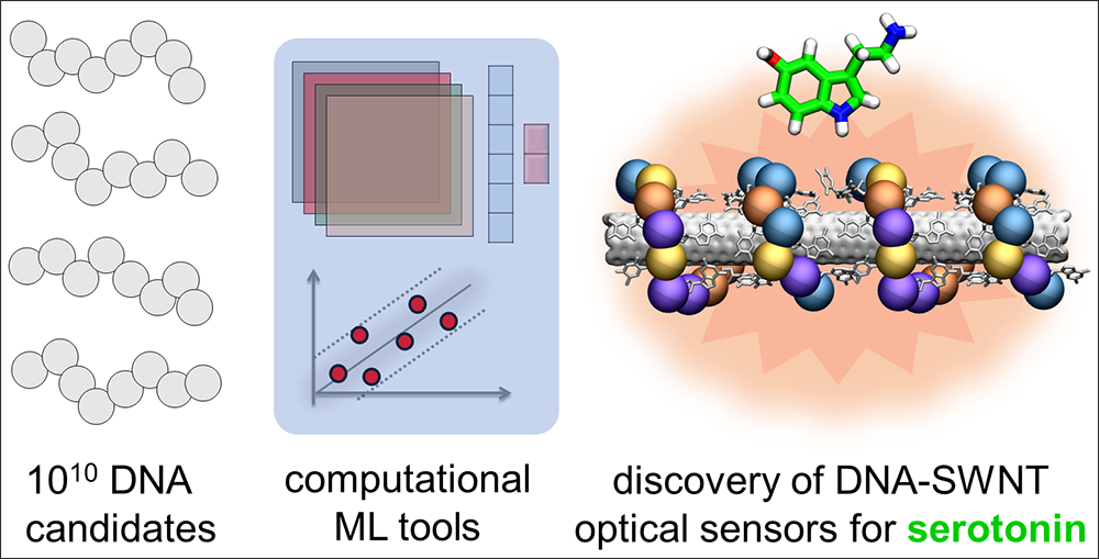 Near-infrared (nIR) fluorescence response datasets