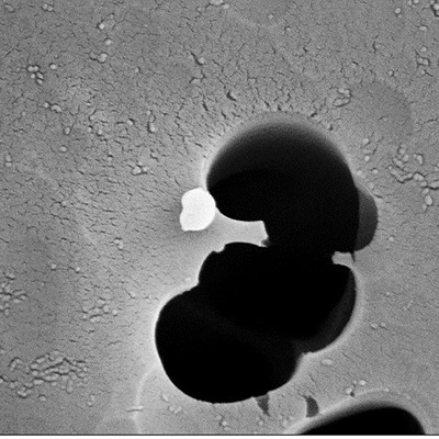 The Mainelis research team collected this re-suspended silver nanoparticle on a filter during an experiment.