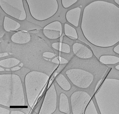 TEM image of thin (monolayer) tin-sulfide nanosheet