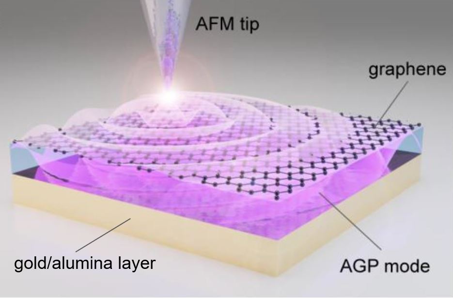 Laser-illuminated nano-tip excites the acoustic graphene plasmon in the layer between the graphene and the gold/alumina.