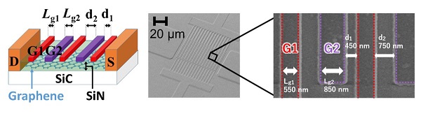 A bird's-eye view of the device structure and electron micrographs of the device surface