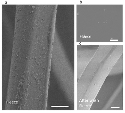 The nanoparticles on the surface of the fleece fiber are visible under a scanning electron microscope (a). The particles detach during washing (b), so that after four washes there are hardly any left (c).