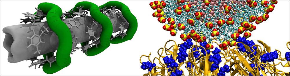 Vukovic's research combines molecular dynamics simulations with machine learning to better understand and engineer nanoscale systems for medicine.