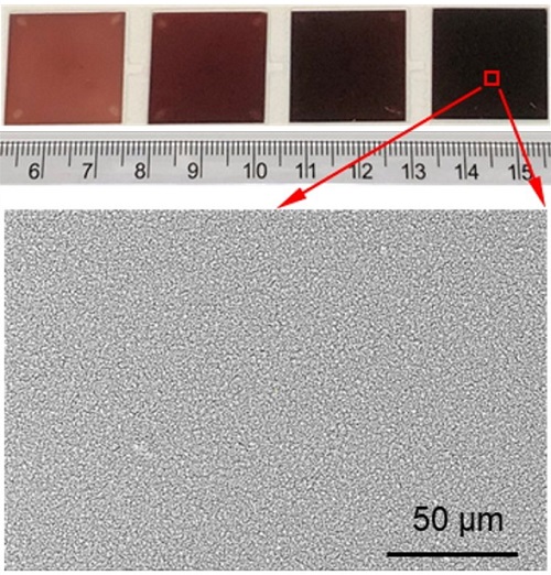 A photo of four nano-sensors and a scanning electron microscope image of the sensor surface