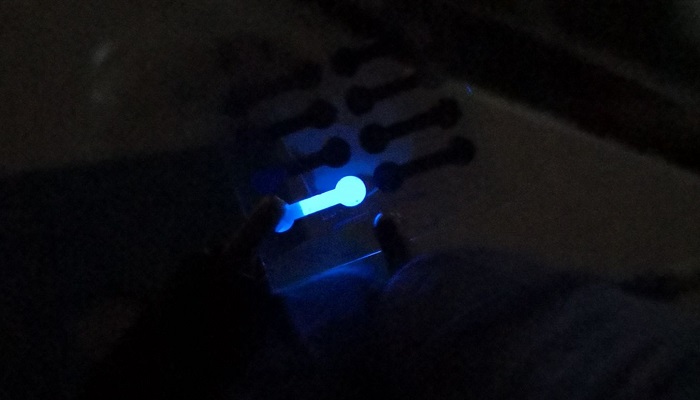 A quantum dot LED light glows while operating